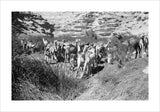View of Wilfred Thesiger's Bedouin ...