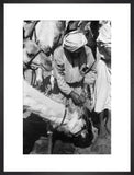 Standing portrait of a Bedouin ...