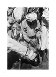 Standing portrait of a Bedouin ...