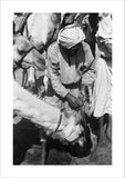 Standing portrait of a Bedouin ...