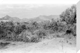 Mountain landscape at Jallat al ...