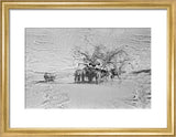 View of camels belonging to ...