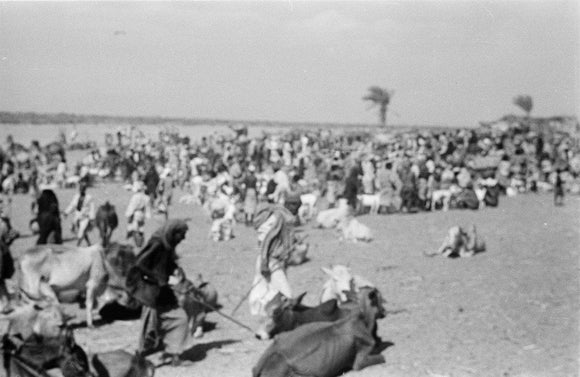 View of a crowd of ...