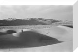 View of a member of ...