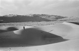 View of a member of ...