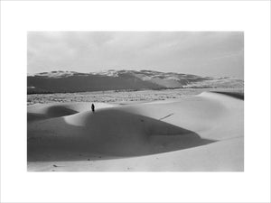 View of a member of ...