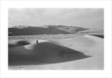 View of a member of ...