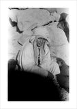 Seated portrait of a youth ...