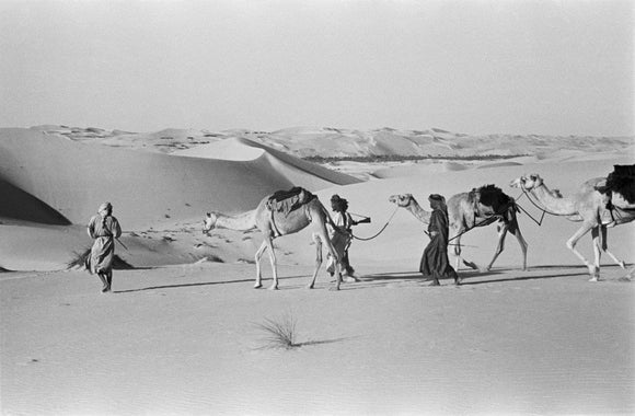 View of Wilfred Thesiger's travelling ...