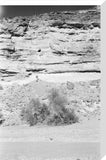 Landscape of a man standing ...
