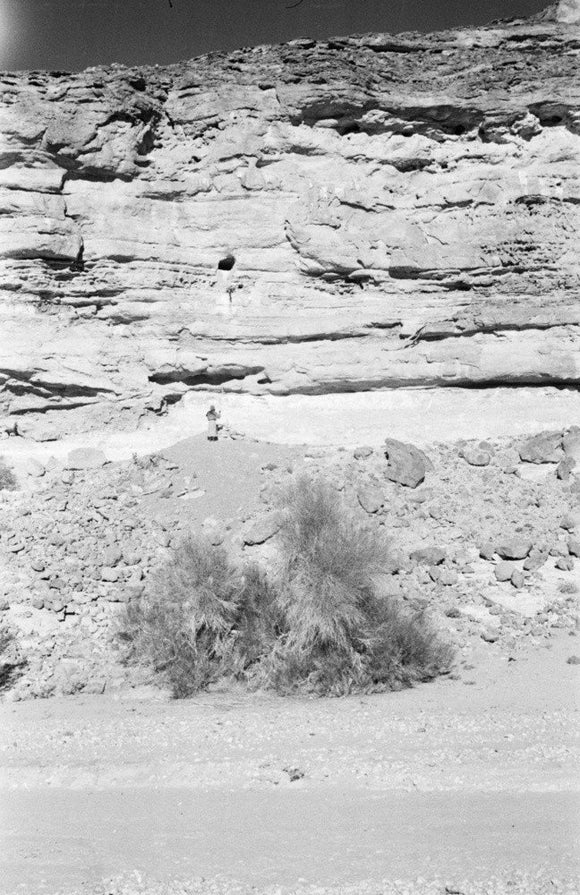 Landscape of a man standing ...