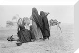 View of four Awamir Bedouin ...