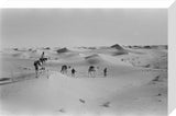 View of Wilfred Thesiger's party ...