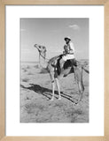 Portrait of an Arab falconer ...