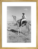 Portrait of an Arab falconer ...