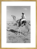 Portrait of an Arab falconer ...