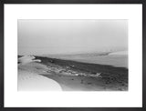 View of long dune chains ...