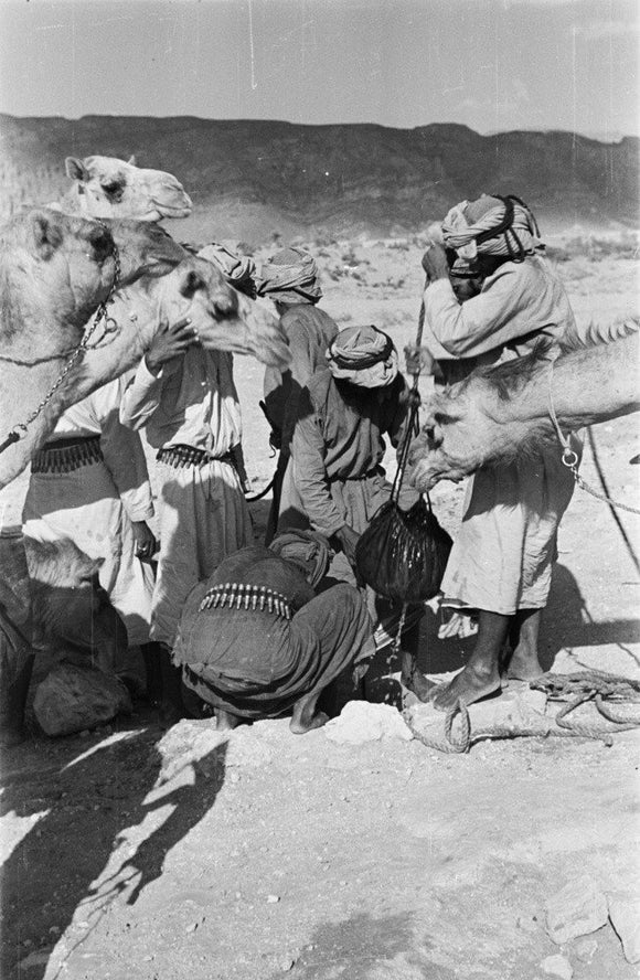 View of Wilfred Thesiger's Bedouin ...