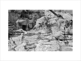 Mahra Bedouin with water-skins at ...