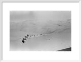 View of Wilfred Thesiger's travelling ...