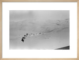 View of Wilfred Thesiger's travelling ...