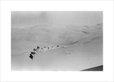 View of Wilfred Thesiger's travelling ...