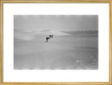 View of Wilfred Thesiger's travelling ...