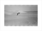 View of Wilfred Thesiger's travelling ...