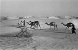 View of four members of ...