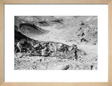 View of a member of ...