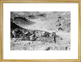 View of a member of ...