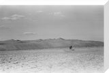 View of a member of ...