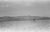 View of a member of ...