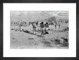 Wilfred Thesiger's party at Mudayy. ...