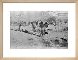 Wilfred Thesiger's party at Mudayy. ...