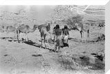 Wilfred Thesiger's party at Mudayy. ...