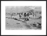 Wilfred Thesiger's party at Mudayy. ...