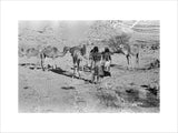 Wilfred Thesiger's party at Mudayy. ...
