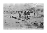 Wilfred Thesiger's party at Mudayy. ...