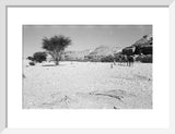 View of Wilfred Thesiger's travelling ...