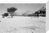 View of Wilfred Thesiger's travelling ...