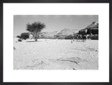 View of Wilfred Thesiger's travelling ...