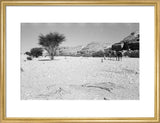 View of Wilfred Thesiger's travelling ...