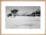 View of Wilfred Thesiger's travelling ...