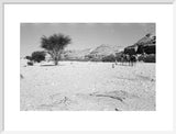 View of Wilfred Thesiger's travelling ...