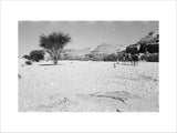 View of Wilfred Thesiger's travelling ...