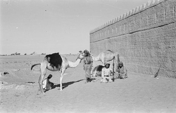 View of Bedouin or Arab ...