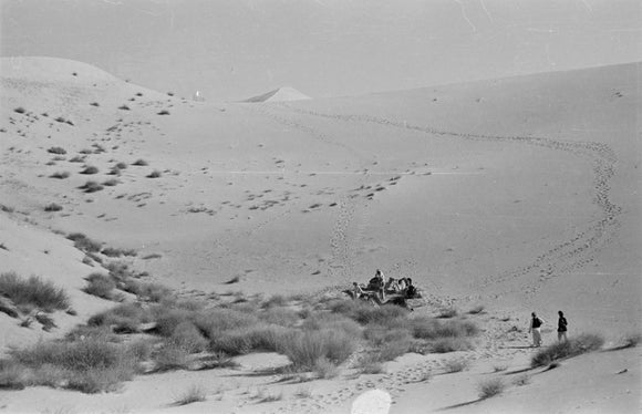 View of Sheikh Zayed bin ...