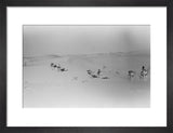 View of Wilfred Thesiger's party ...