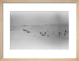 View of Wilfred Thesiger's party ...